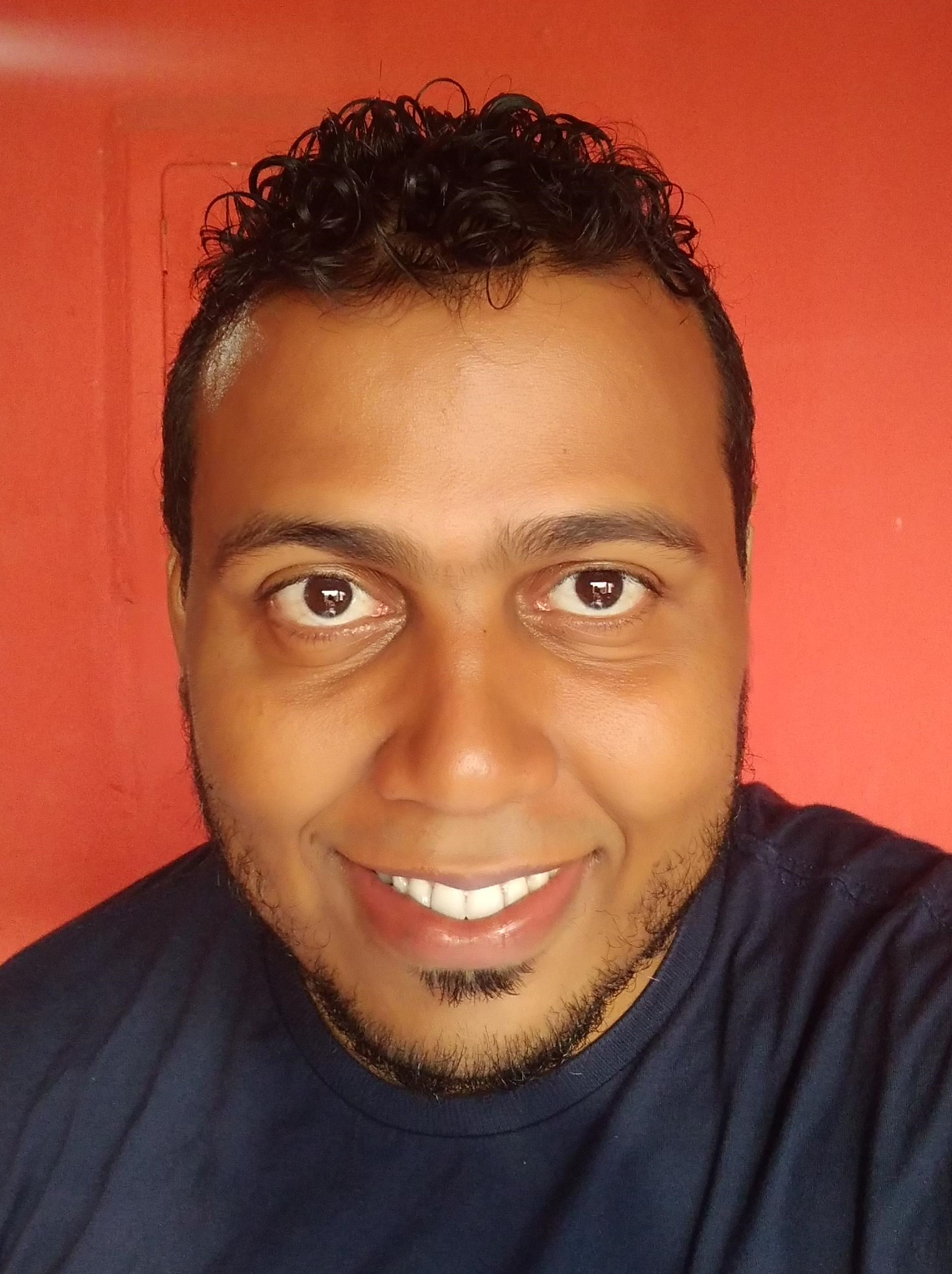 Danilo System Analyst | Frontend | Dynamics CRM Developer Senior